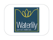 Waterlily