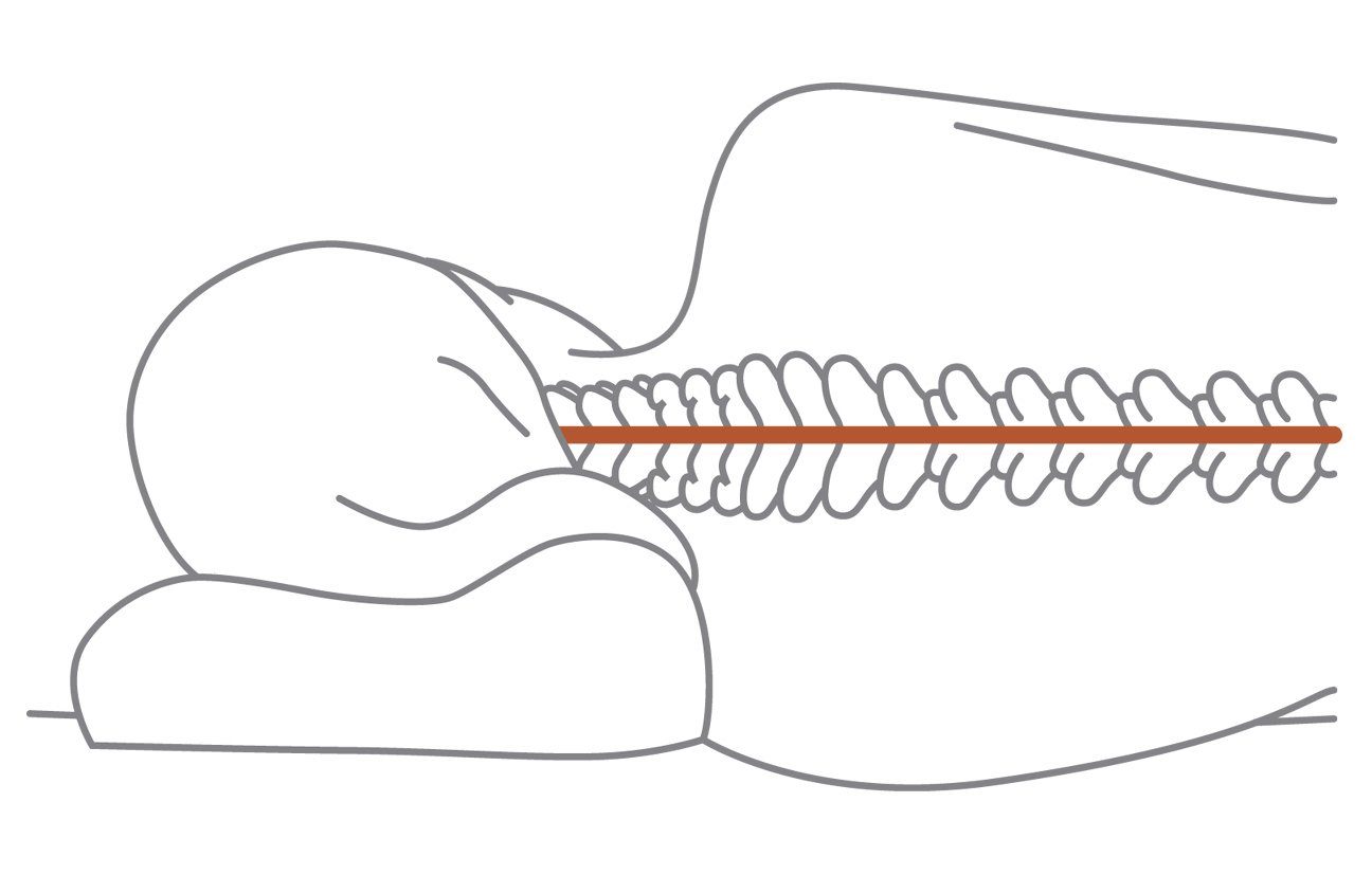 Opzione ergonomico